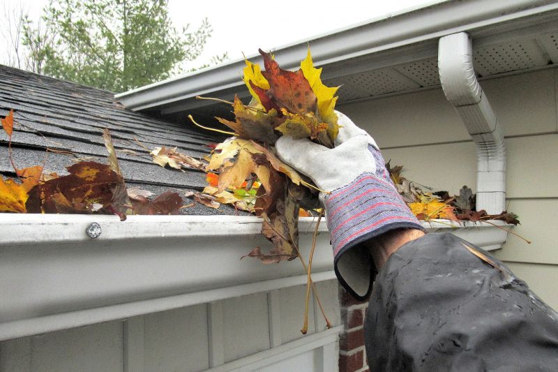 Clogged Gutter Clearing in Longmont, CO